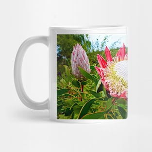 Protea Study 5 Mug